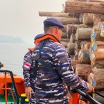 Guskamla Koarmada III Amankan Kapal Diduga Membawa kayu ilegal 